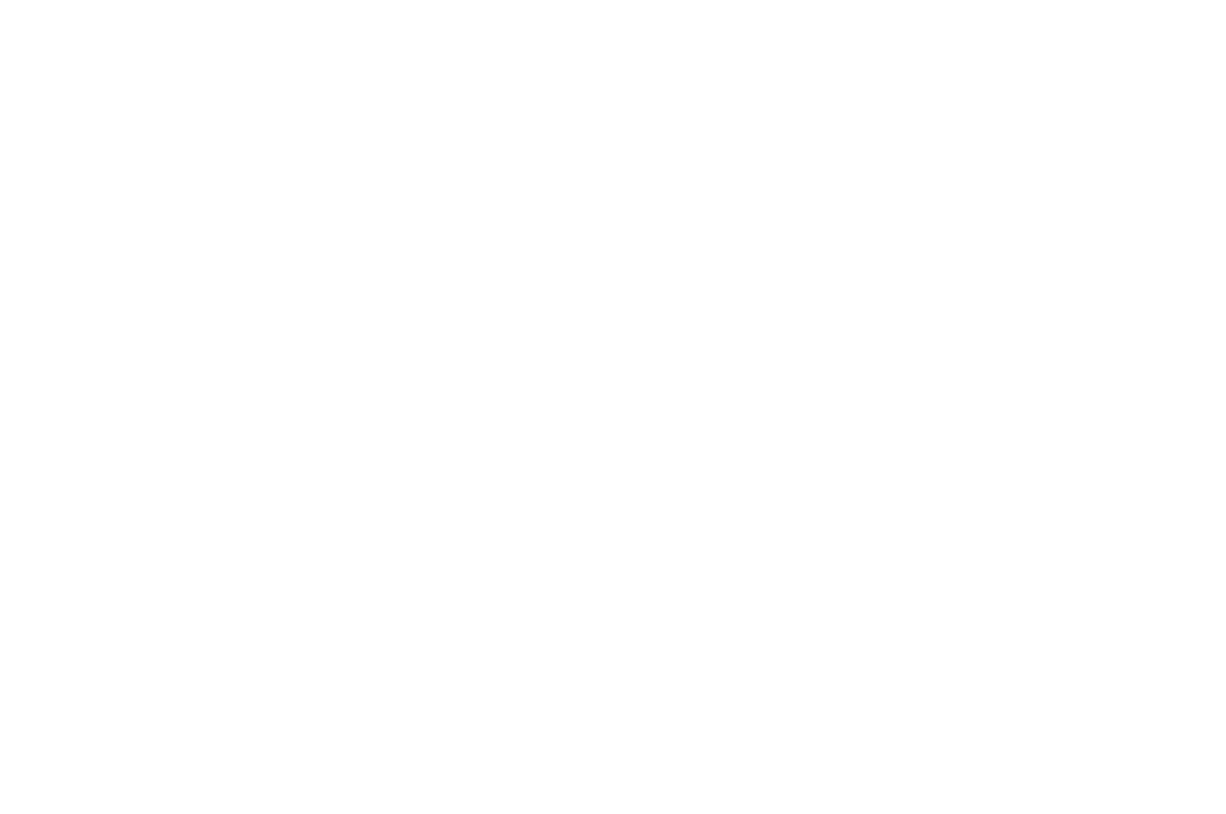 Official Selection – Tokyo Lift-Off Film Festival 2026